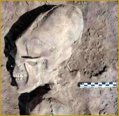 13 skulls discovered in 1999 skull discovered in 1999 - mexico