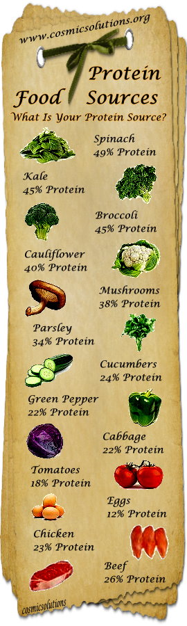 protein sources