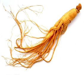 ginseng